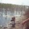 Бретонский эпаньоль — подача утки с воды