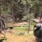 Охота на оленя с манком видео