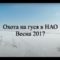 Охота на гуся в НАО весна