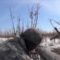 Охота на гусей на Аляске