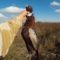 Охота на фазана — работа по следу, охота с Дратхааром