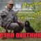 Охота на утку с Русским охотничьим спаниелем