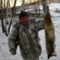 Охота на лису зимой с фокстерьером