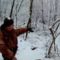 Удачная охота на лису зимой
