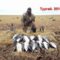 Охота на гусей в Казахстане