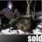 Зимняя охота на кабана с вышки ночью