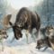Охота на лося с лайкой в Сибири кулемки