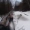 Охота на лося зимой