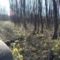 Осенняя охота на вальдшнепа с собакой