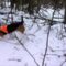 Охота с эстонской гончей в зимнем лесу