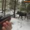 Охота на лося: подборка лучших выстрелов