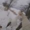 Удачная охота на гуся и на голубя с лабрадором видео