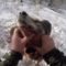 Лайка загрызла кабана видео