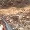 Охота на медведя с гладкоствольным ружьем видео