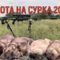 Охота на сурка в Ростовской области 2019