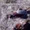 Охота на фазана в Ростовской области видео