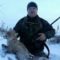 Охота на лису капканом зимой у норы