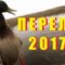 Охота на утку 2017 с мр-155 и спаниелем