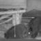 Охота на дикого кабана с ночным прицелом видео