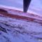 Охота на лису из засидки зимой видео