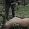 Охота на оленя на реву с подхода видео