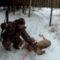 Зимняя охота на косулю в Сибири