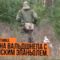 Охота на вальдшнепа с бретонским эпаньолем видео