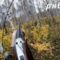Охота на рябчика в осеннем лесу. Красноярский край