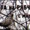 Охота на рябчика с манком