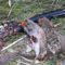 Охота на куропатку в Орловской области