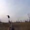 Охота на фазана с Курцхааром